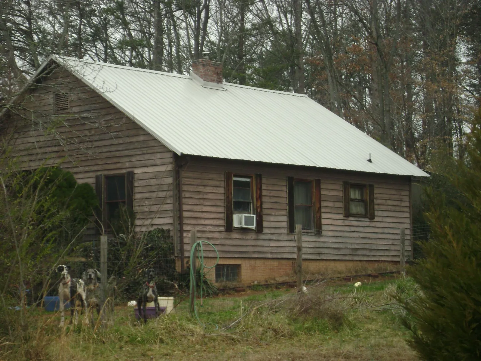 White metal roof on an old wood sided farmhouse, from a Asphalt Shingle Roof Repair job in Ceres